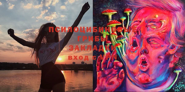 дживик Козловка