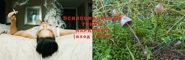 дживик Козловка