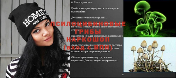 дживик Козловка